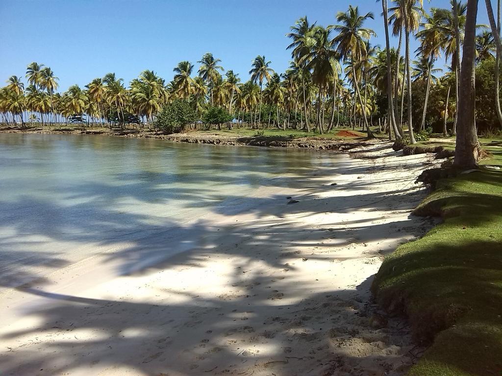 Hotel 21 Palms Las Galeras Esterno foto