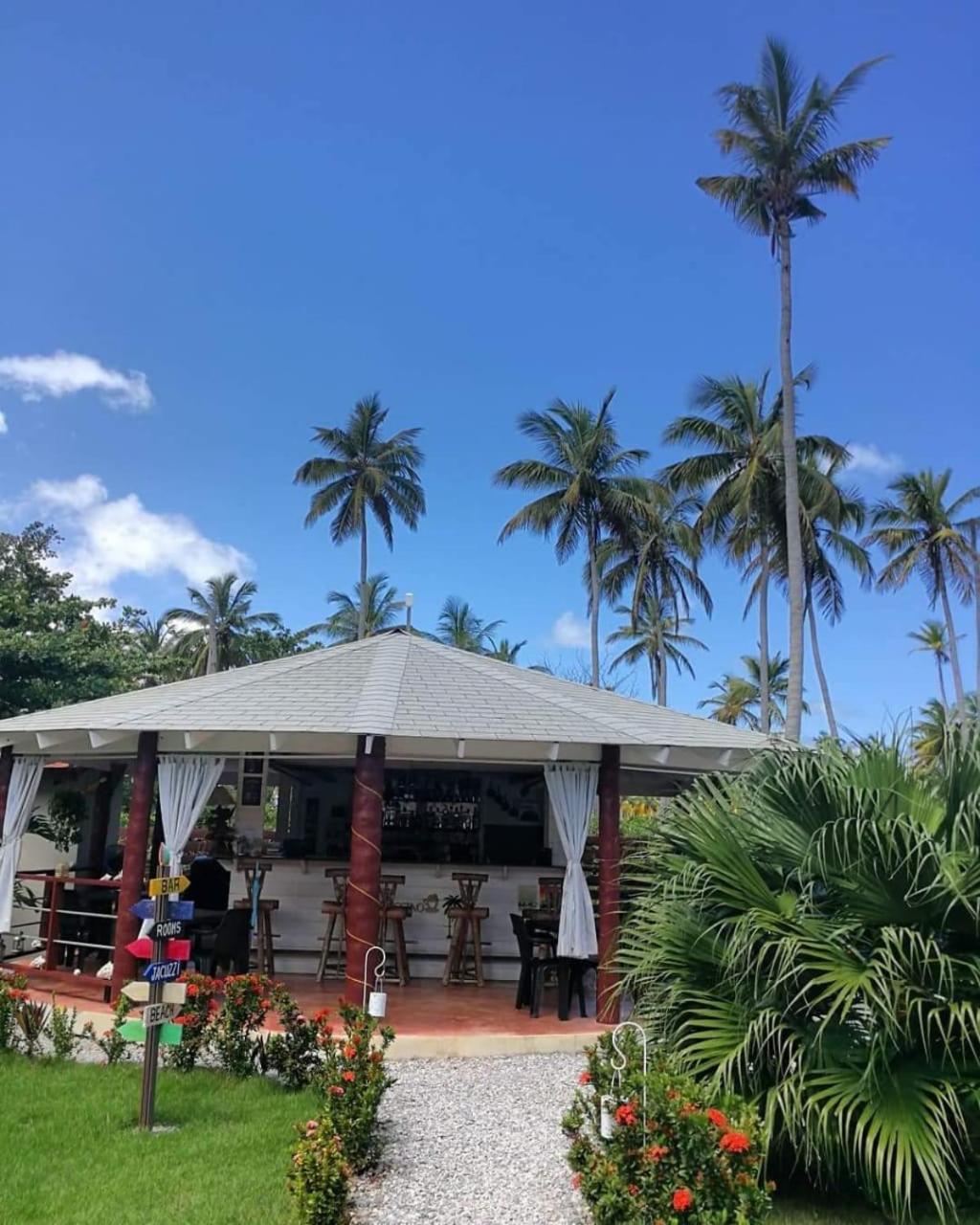 Hotel 21 Palms Las Galeras Esterno foto