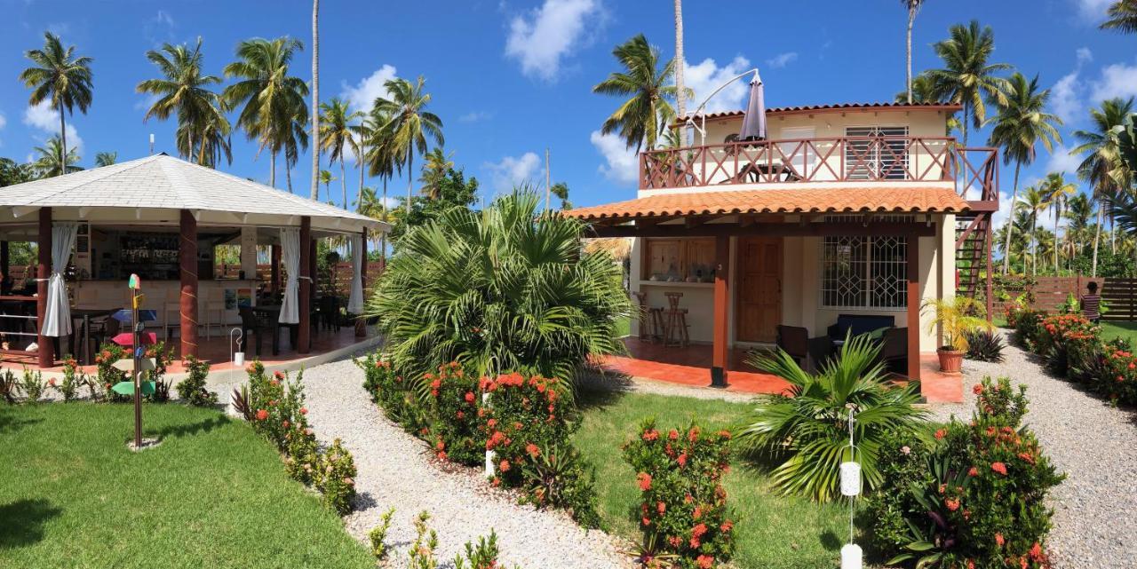 Hotel 21 Palms Las Galeras Esterno foto