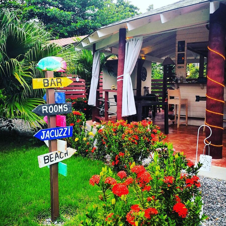 Hotel 21 Palms Las Galeras Esterno foto